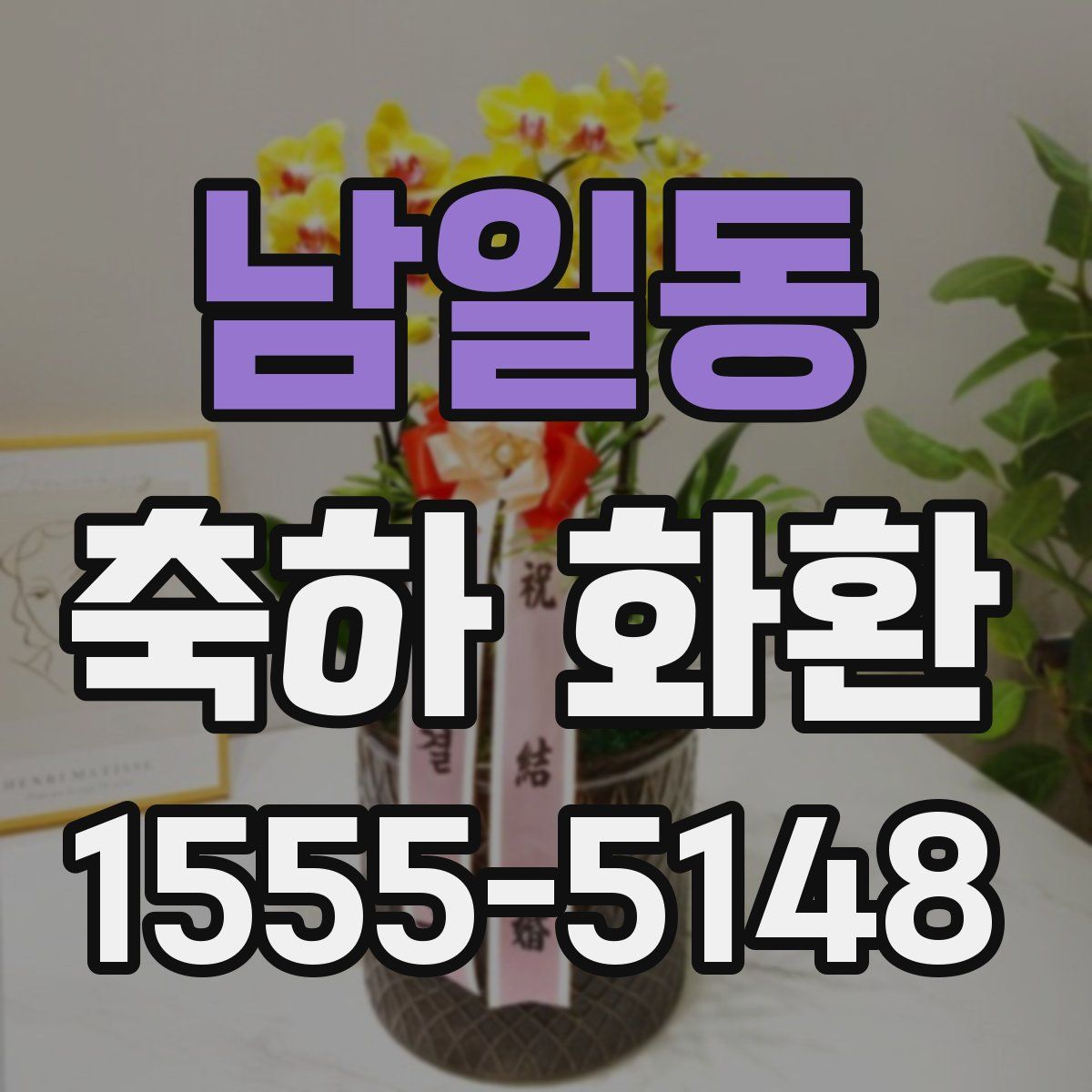 남일동 축하 화환