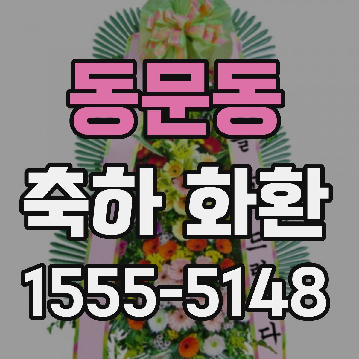 동문동 축하 화환