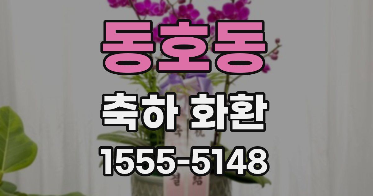 동호동 축하 화환