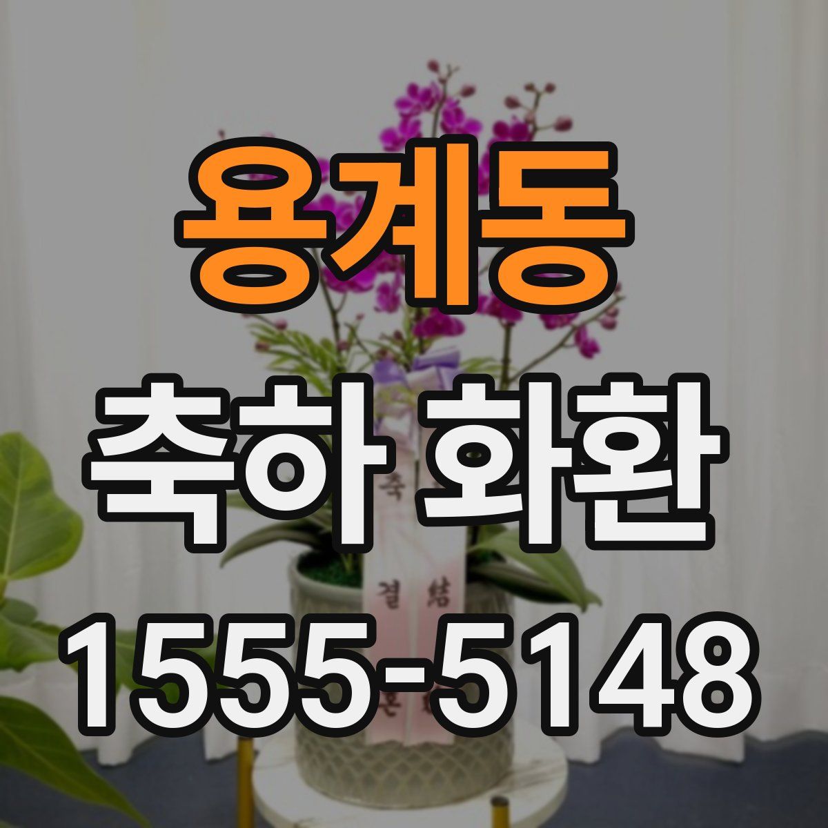 용계동 축하 화환