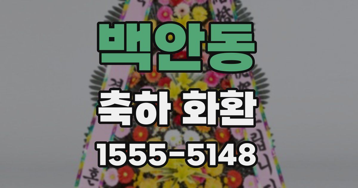 백안동 축하 화환
