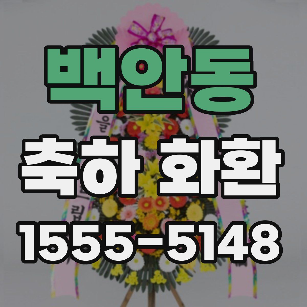 백안동 축하 화환