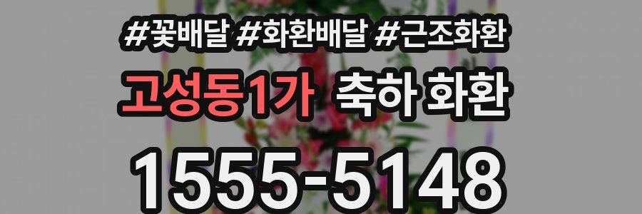 고성동1가 축하 화환