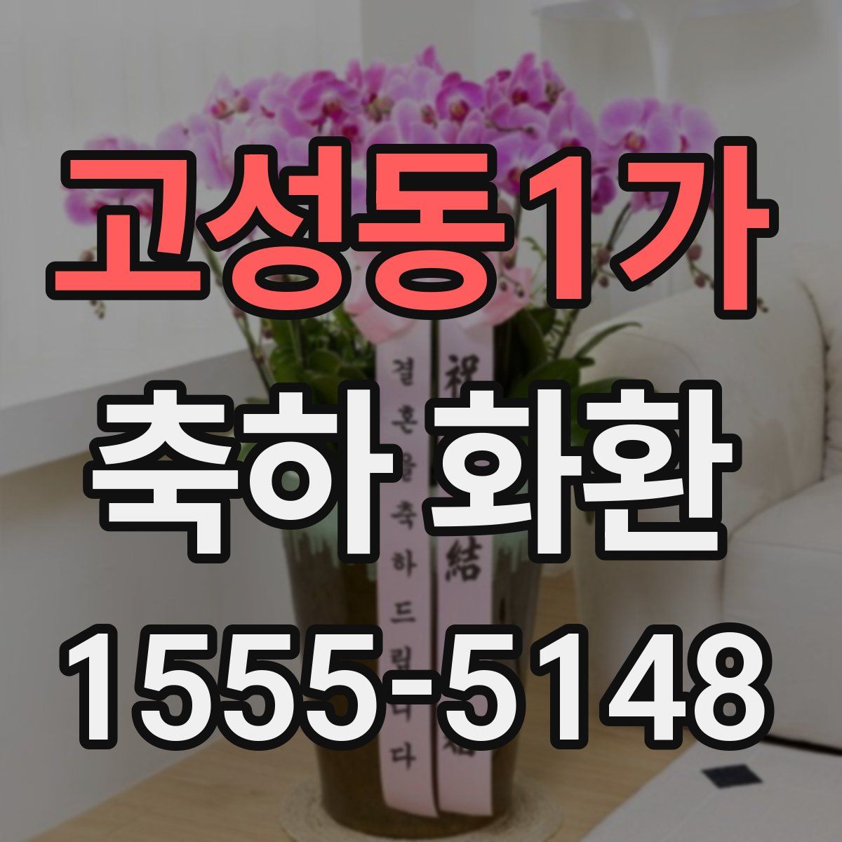 고성동1가 축하 화환