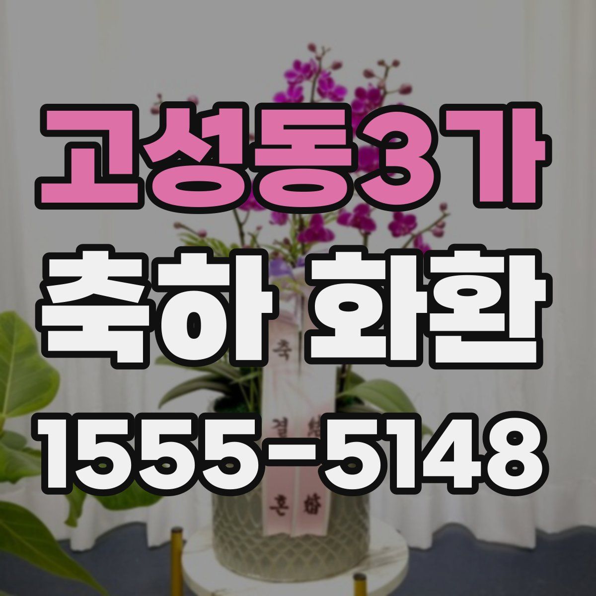 고성동3가 축하 화환
