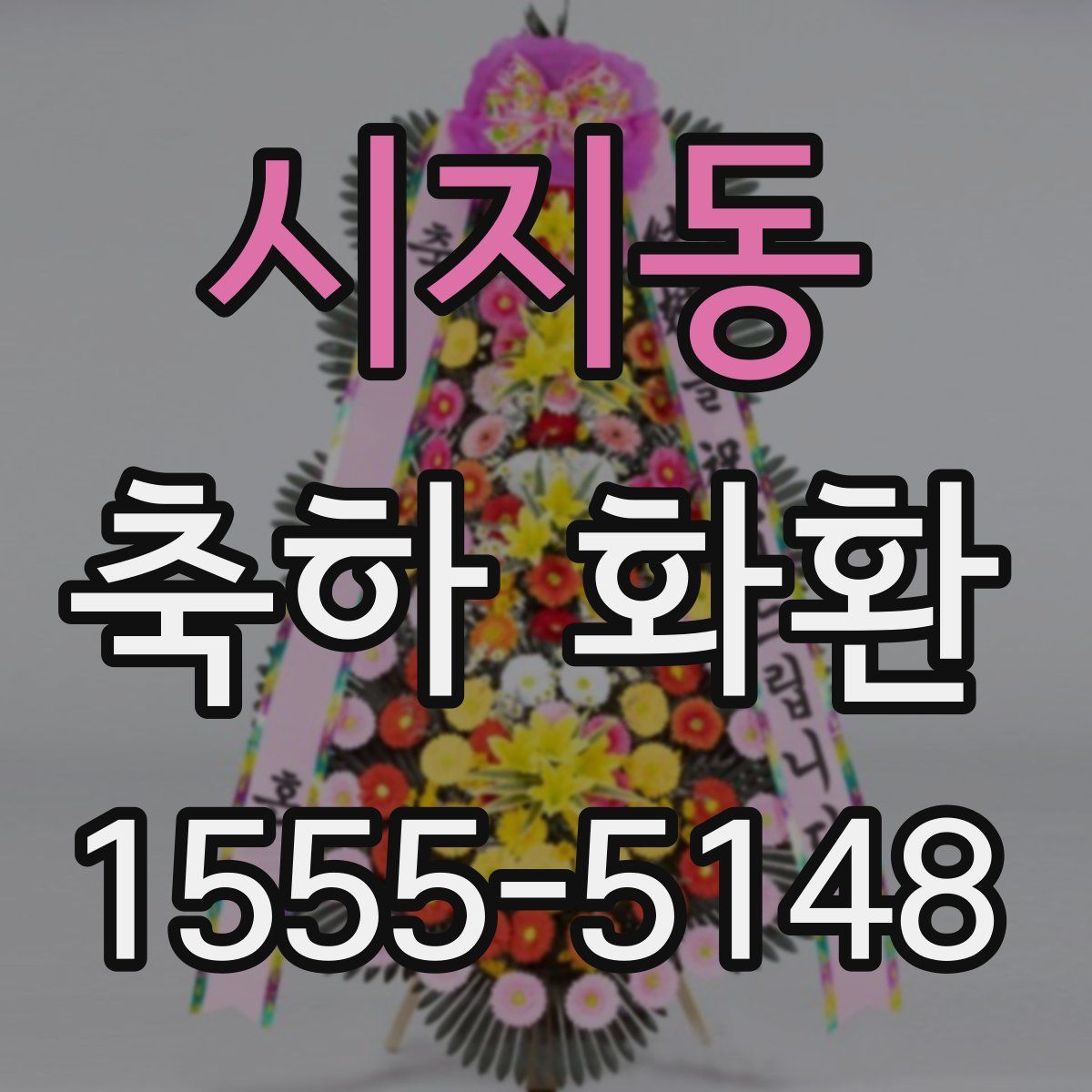시지동 축하 화환