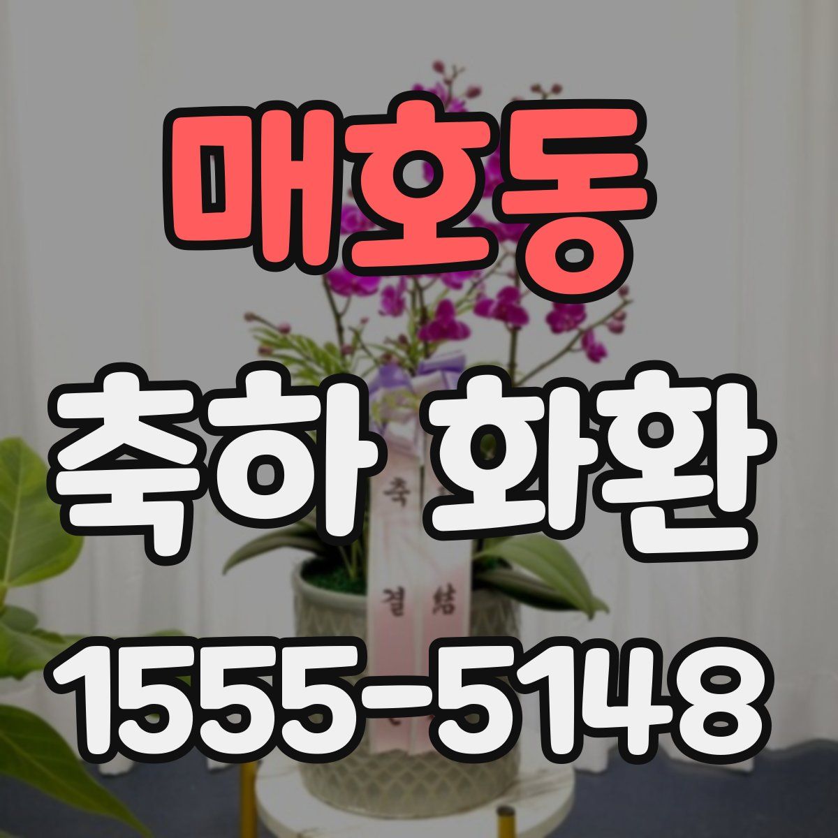 매호동 축하 화환