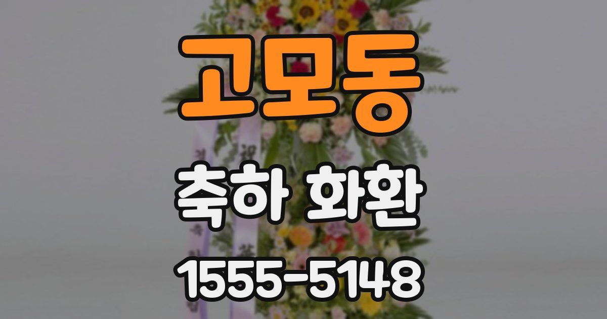 고모동 축하 화환