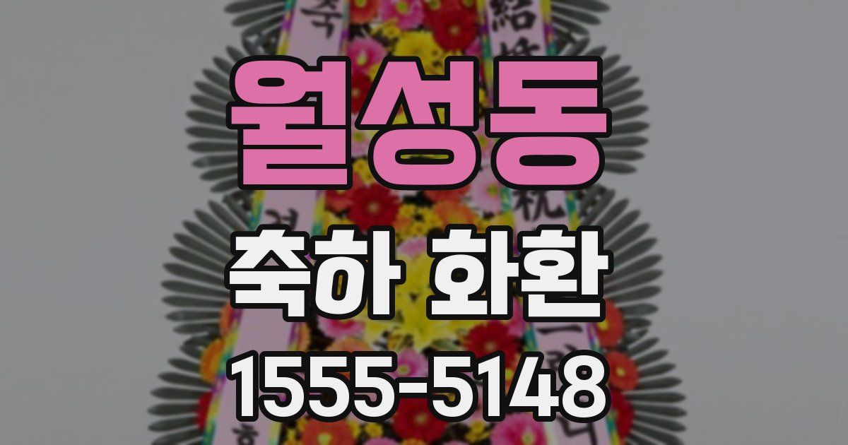 월성동 축하 화환