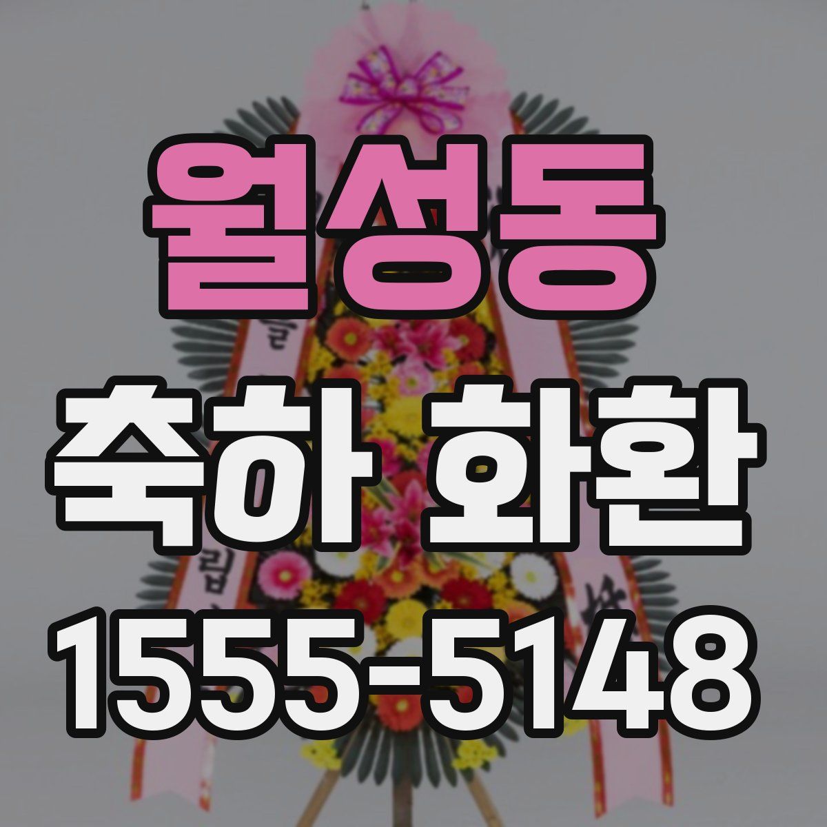 월성동 축하 화환