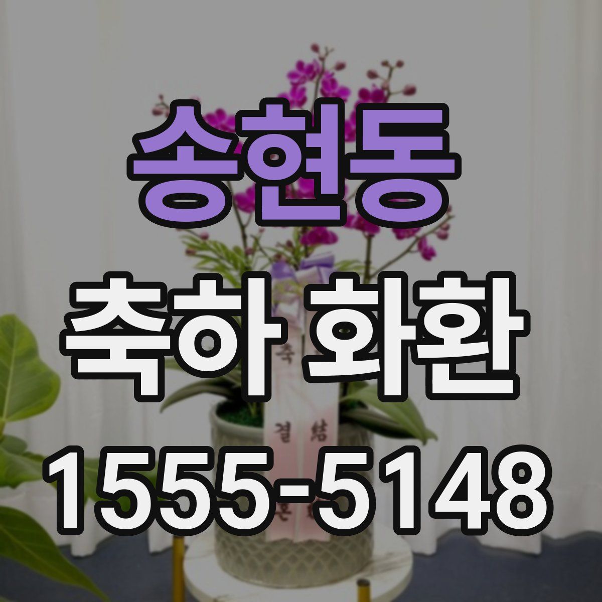 송현동 축하 화환