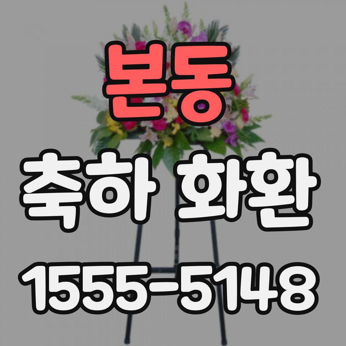 본동 축하 화환