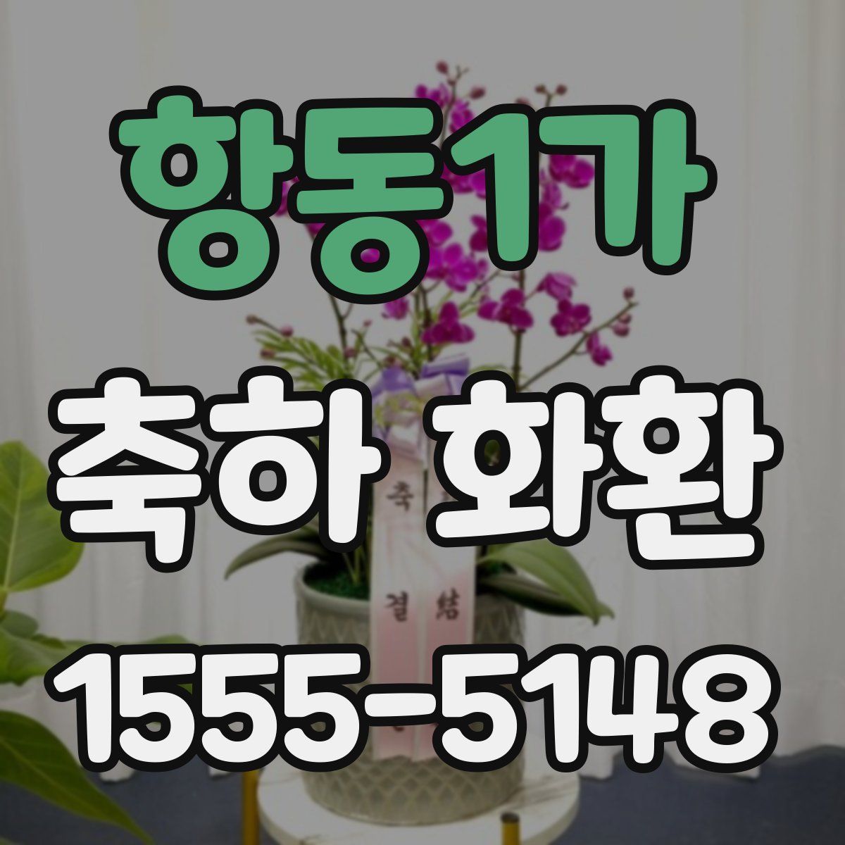 항동1가 축하 화환