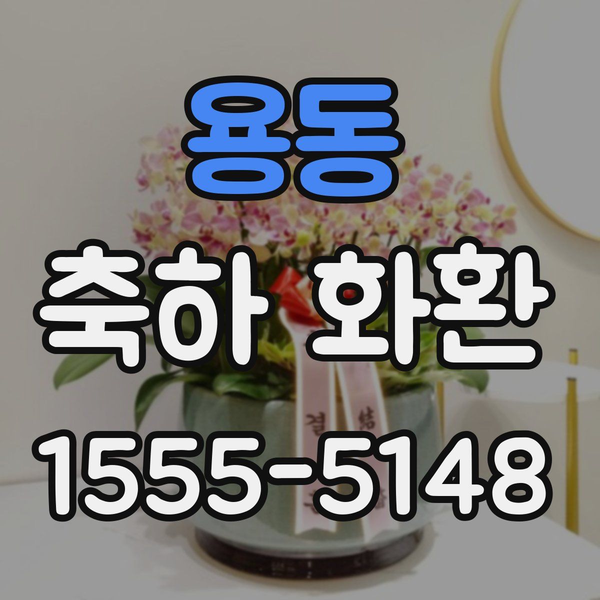 용동 축하 화환