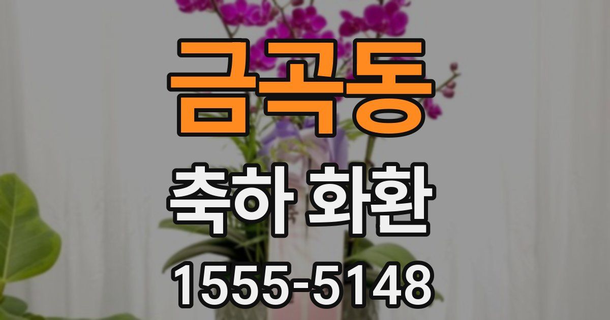 금곡동 축하 화환