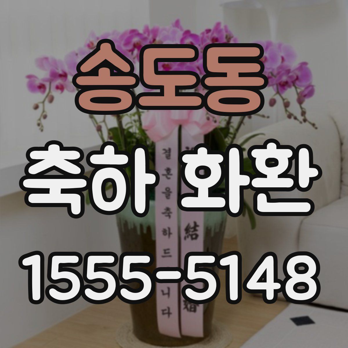 송도동 축하 화환