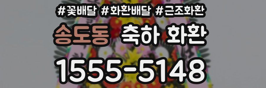 송도동 축하 화환