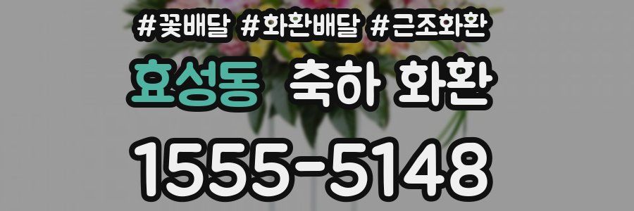 효성동 축하 화환