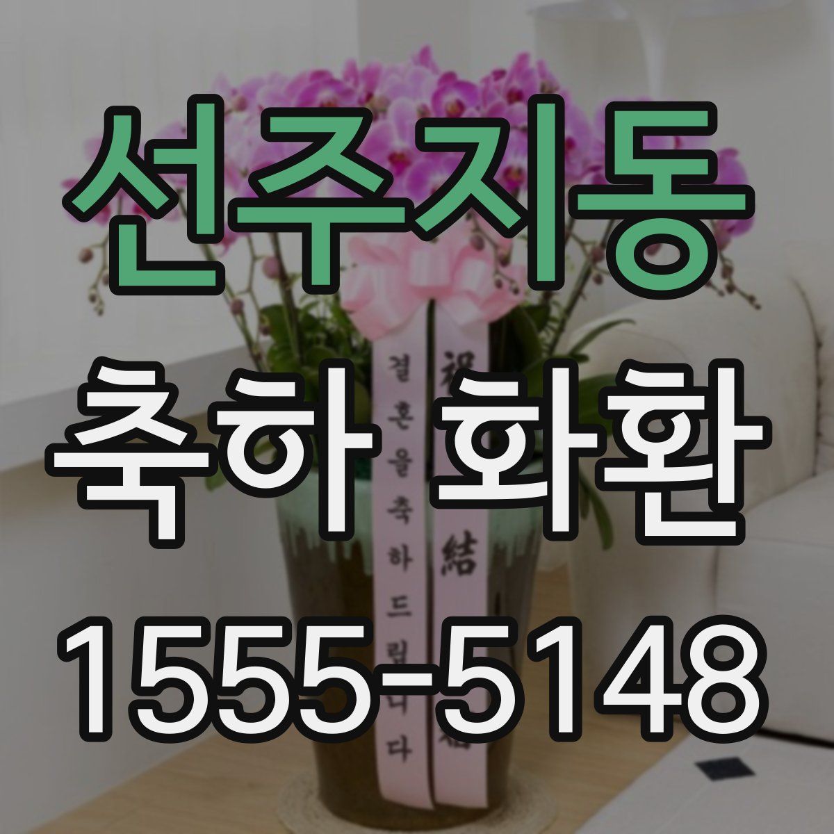 선주지동 축하 화환