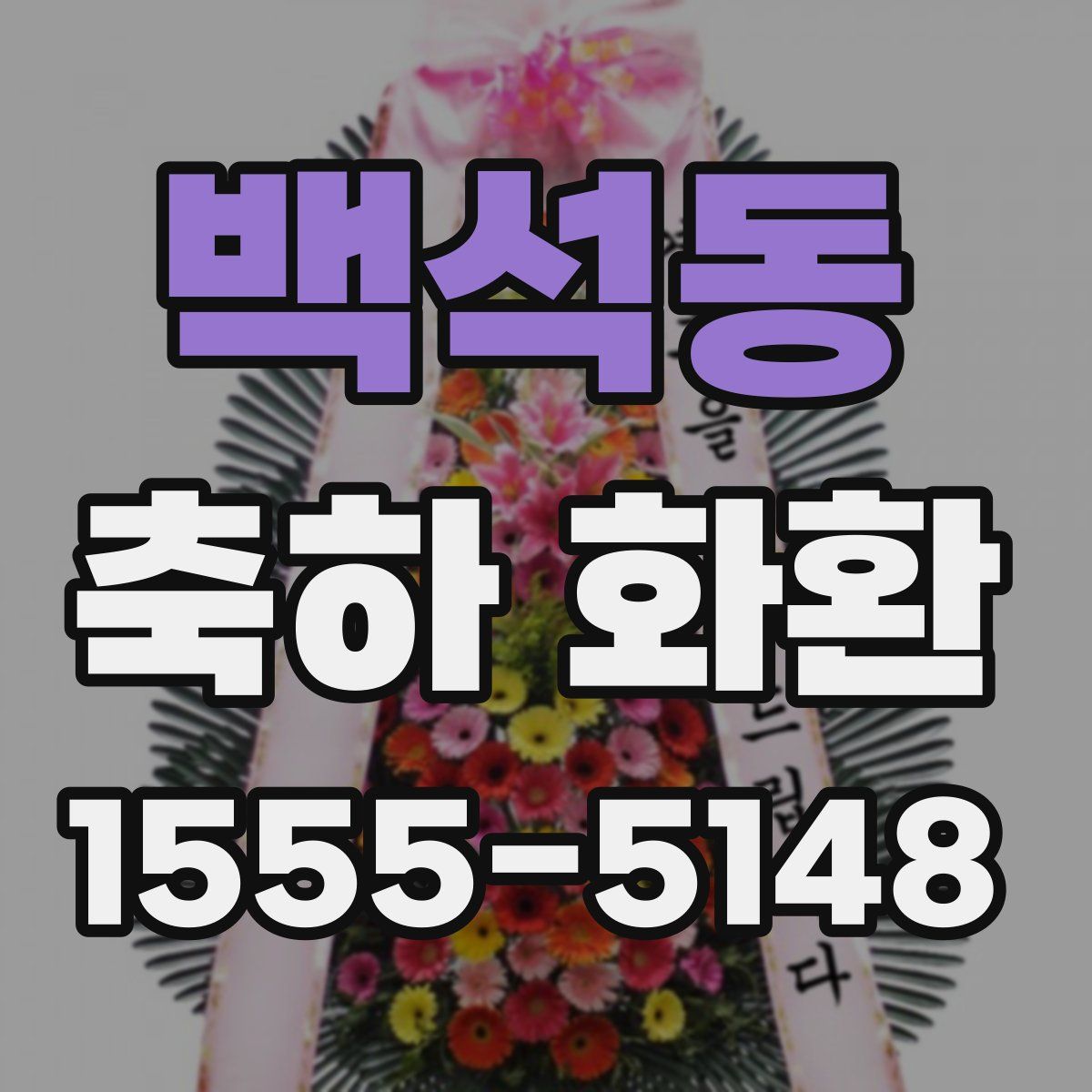 백석동 축하 화환