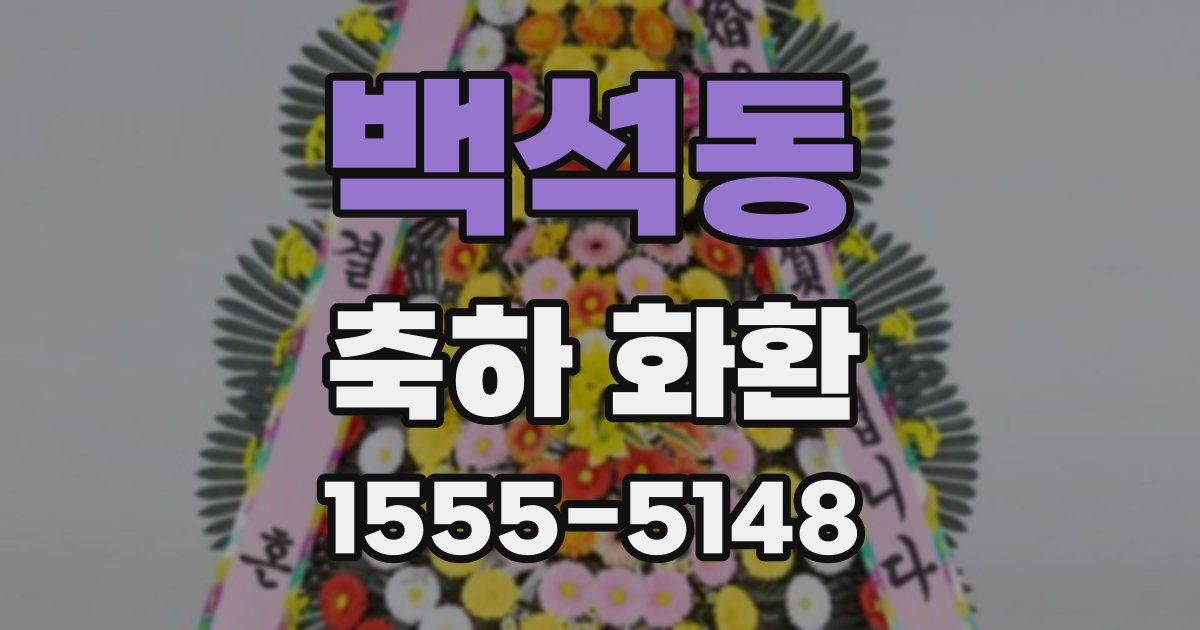 백석동 축하 화환