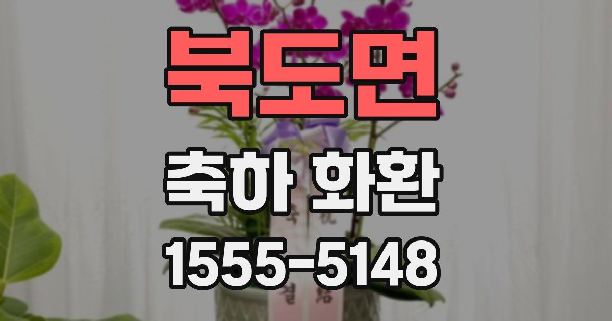 북도면 축하 화환