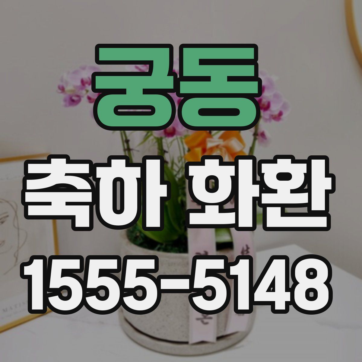 궁동 축하 화환