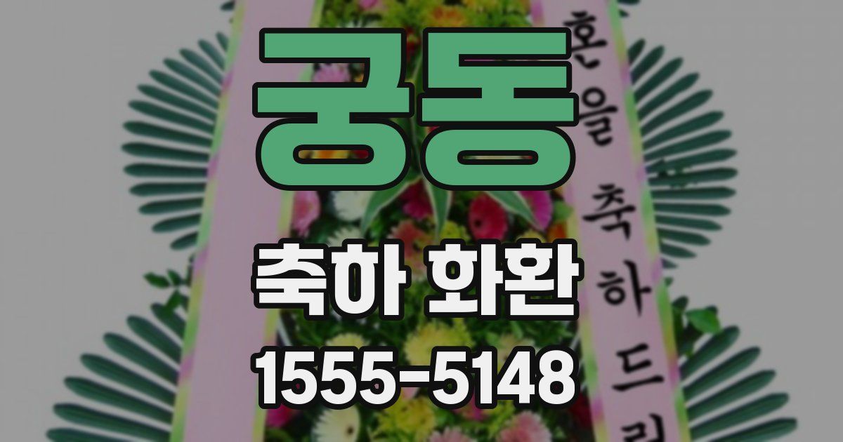 궁동 축하 화환