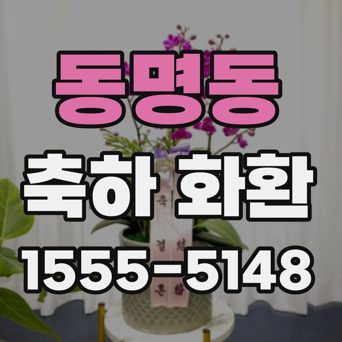 동명동 축하 화환