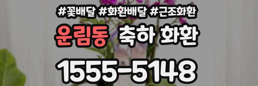 운림동 축하 화환