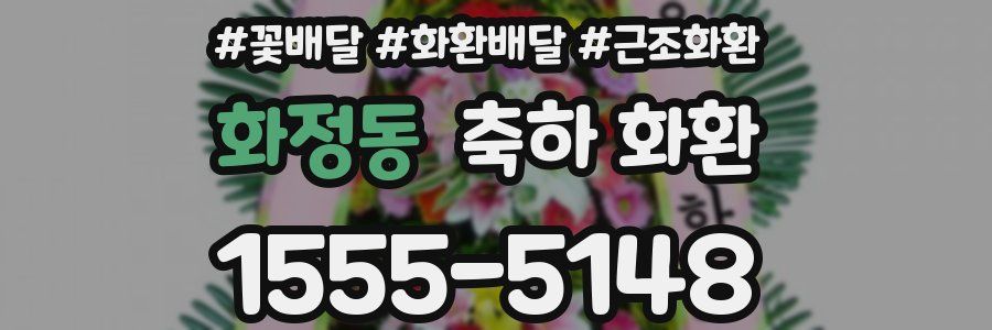 화정동 축하 화환