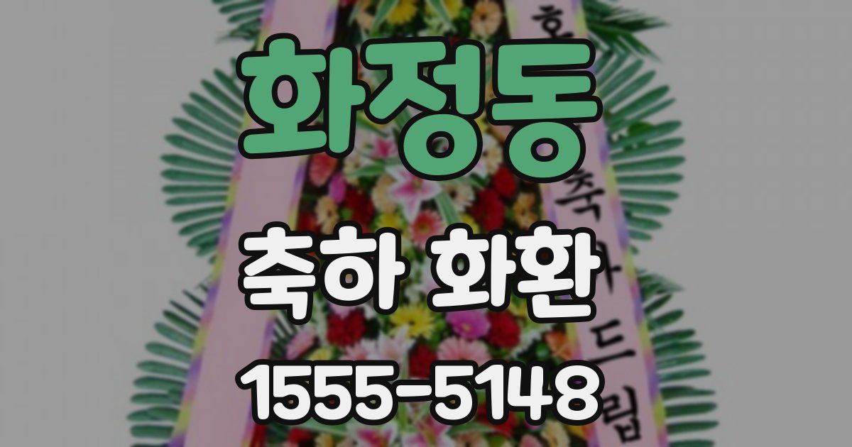 화정동 축하 화환