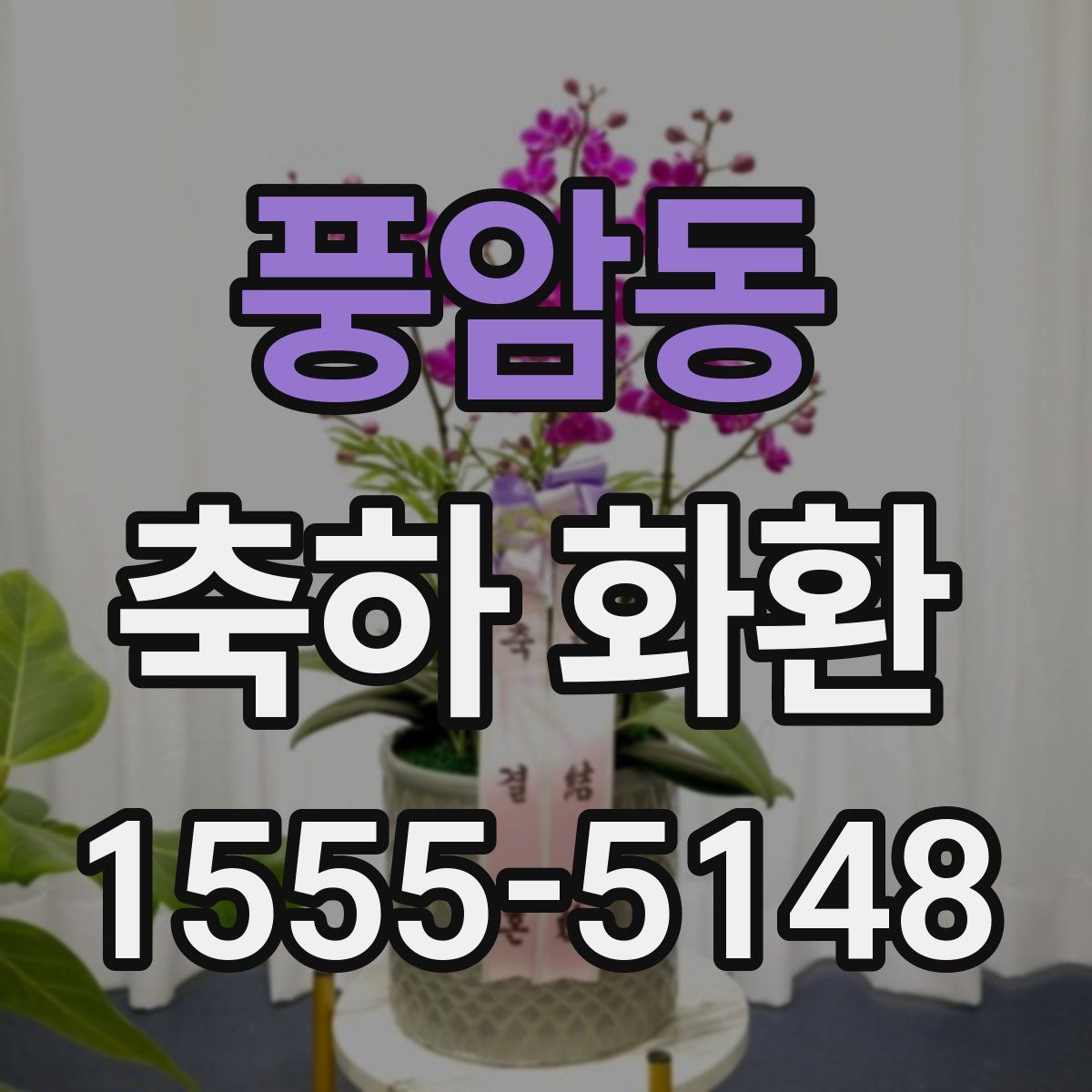 풍암동 축하 화환