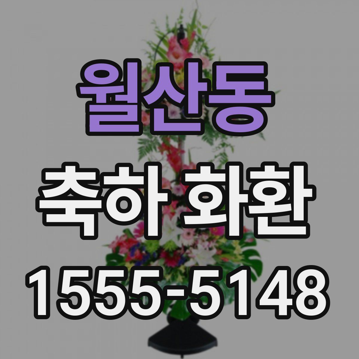 월산동 축하 화환