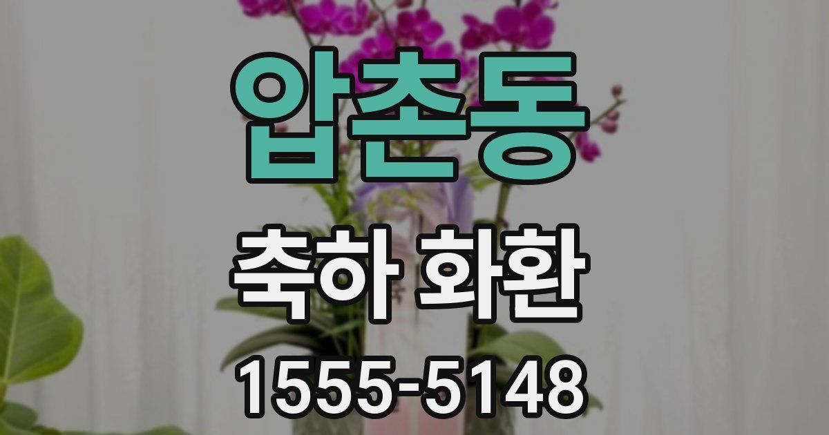 압촌동 축하 화환