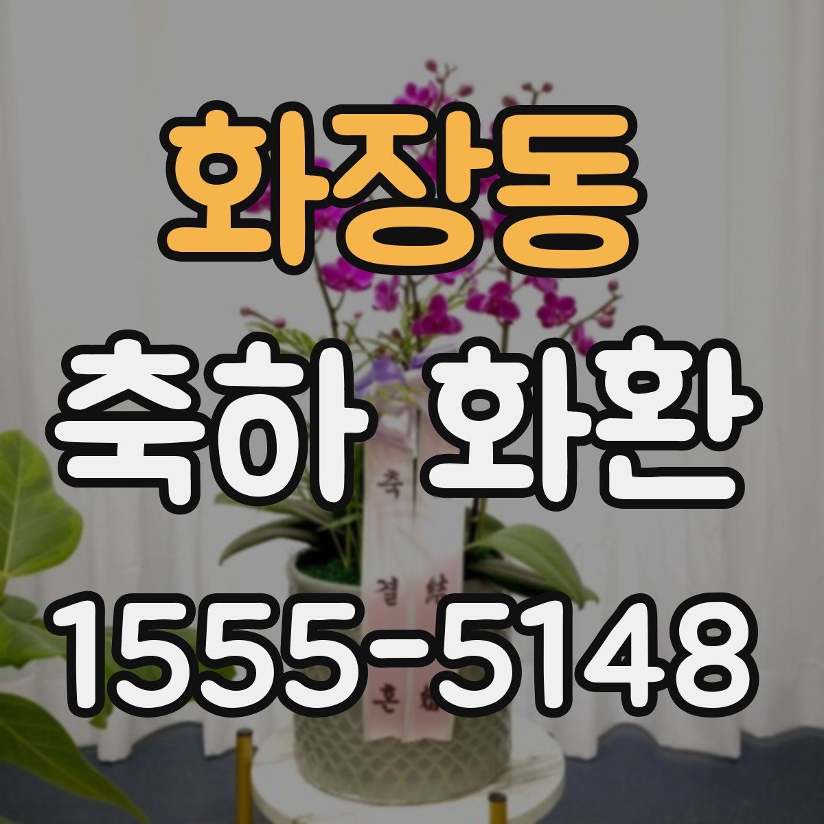 화장동 축하 화환