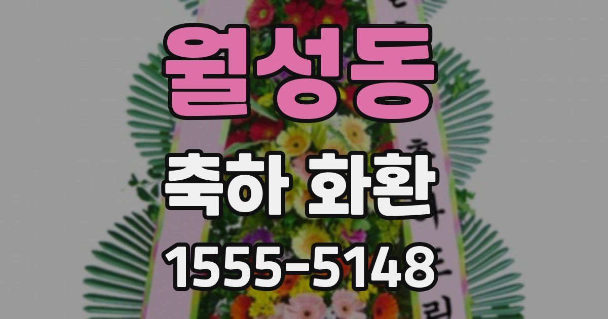 월성동 축하 화환