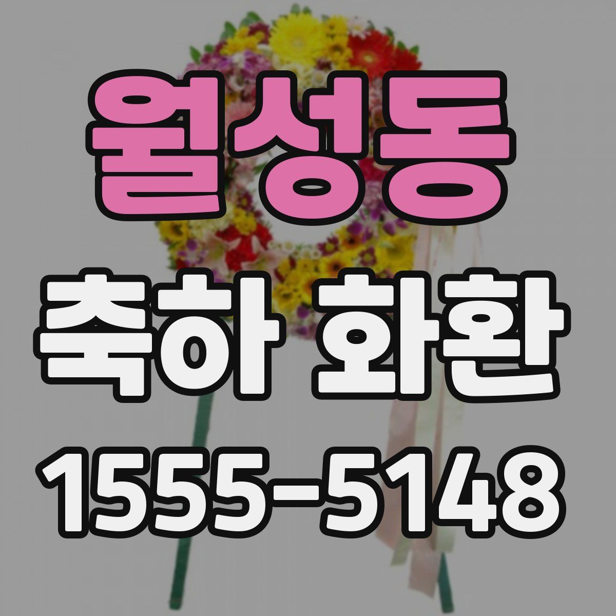 월성동 축하 화환