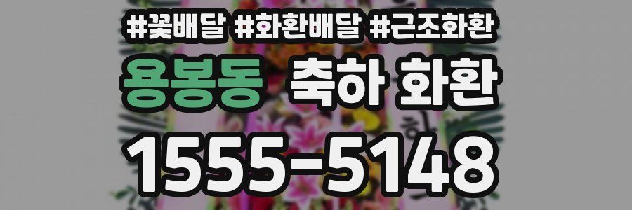 용봉동 축하 화환