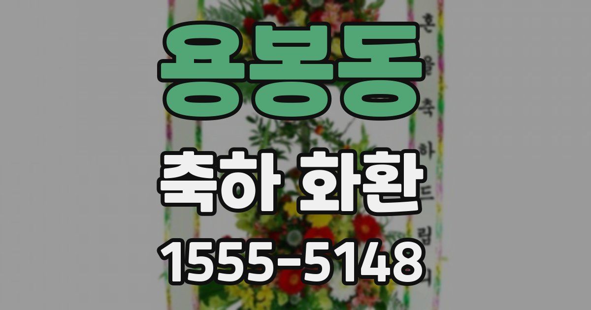 용봉동 축하 화환