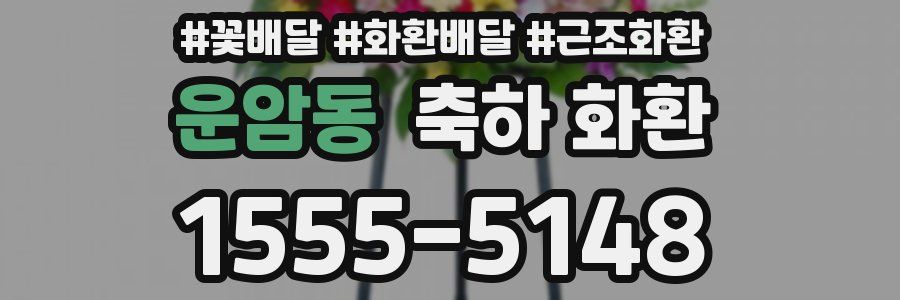 운암동 축하 화환
