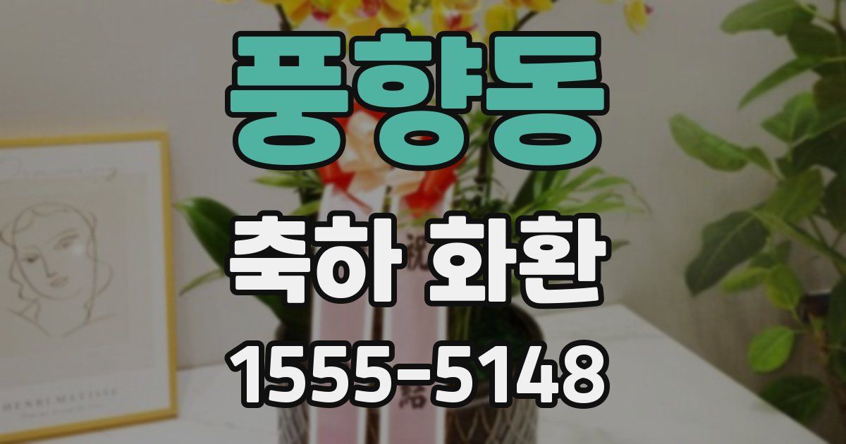 풍향동 축하 화환