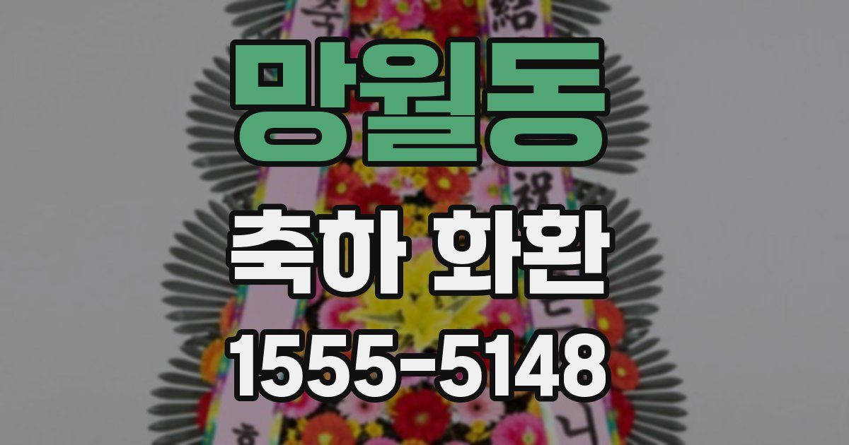 망월동 축하 화환