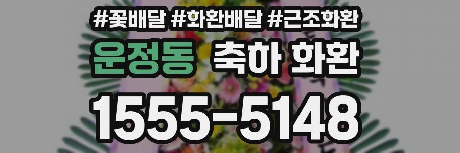 운정동 축하 화환