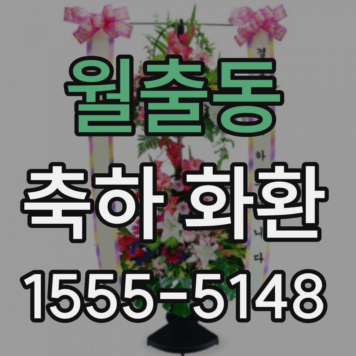 월출동 축하 화환