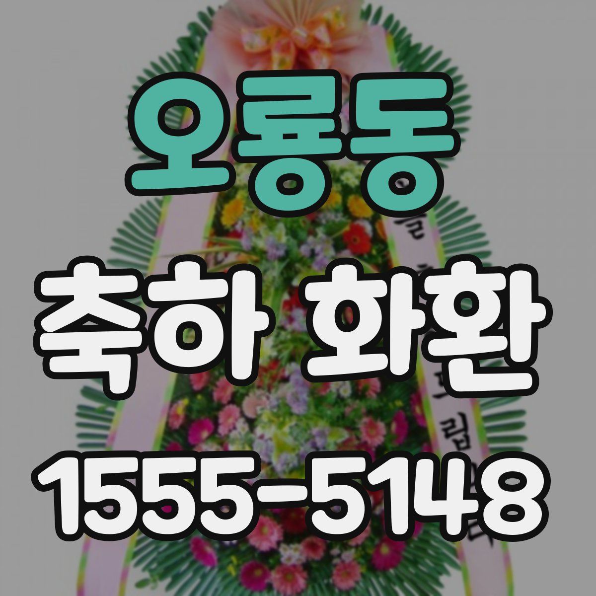 오룡동 축하 화환