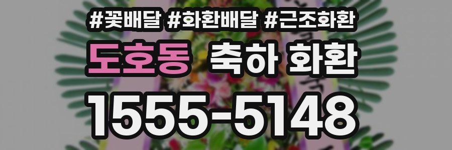 도호동 축하 화환