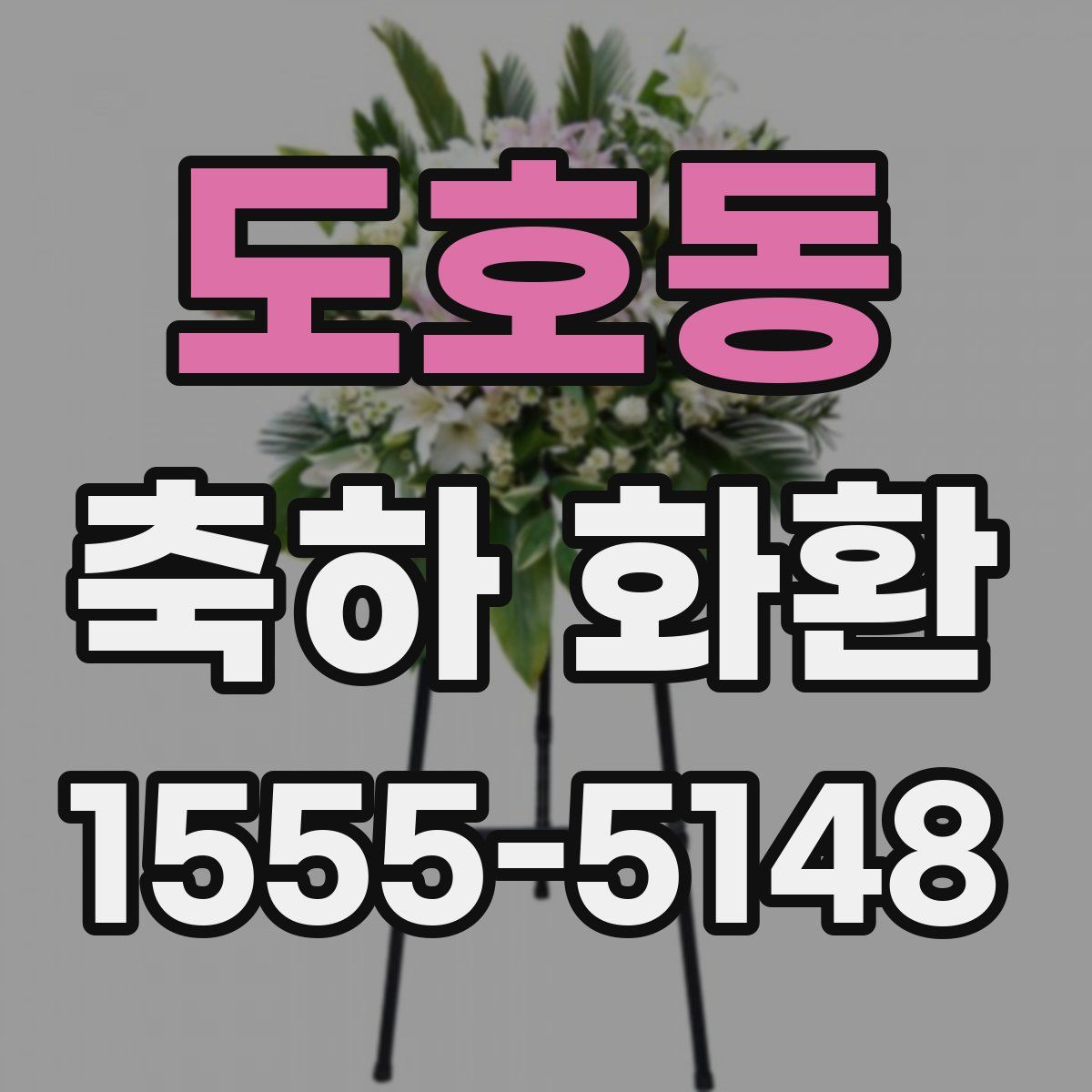 도호동 축하 화환