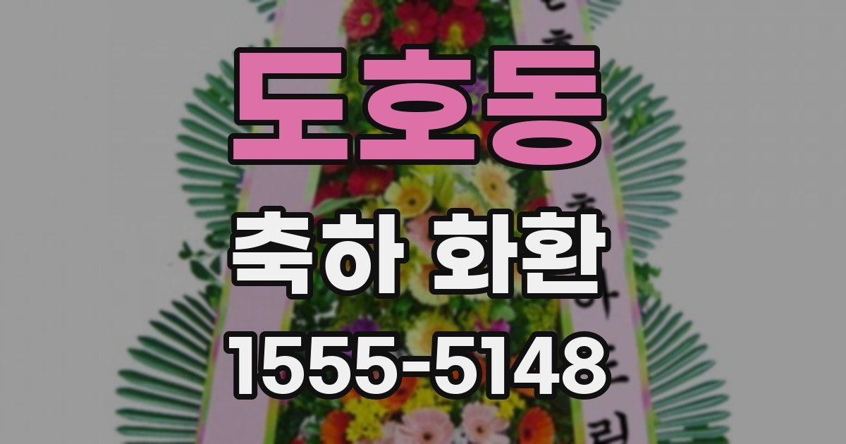 도호동 축하 화환
