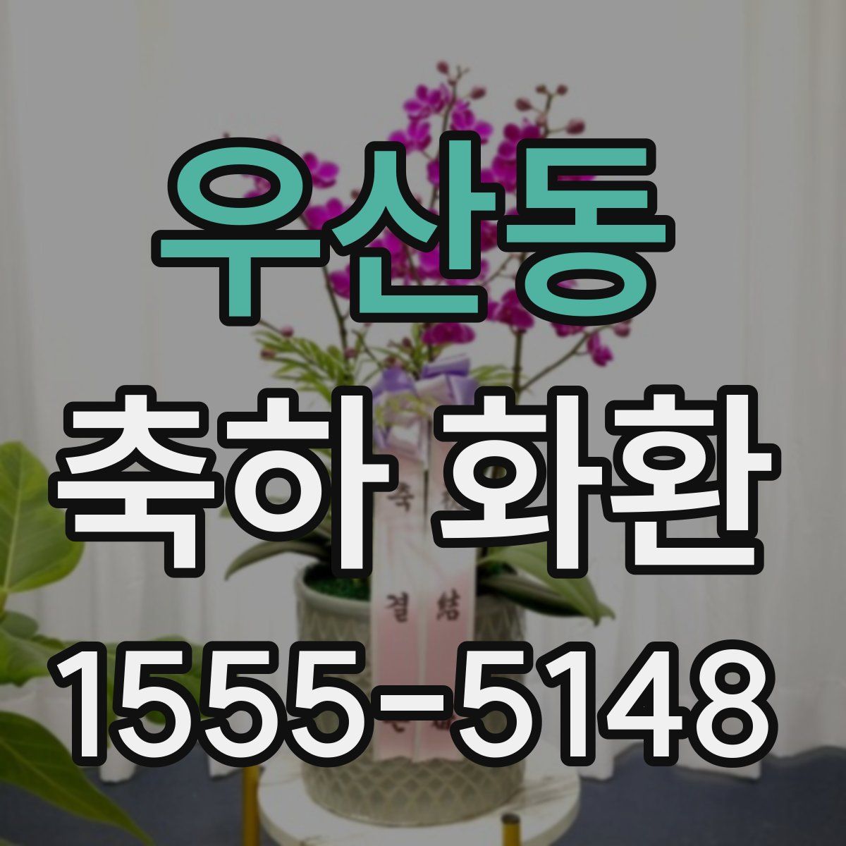 우산동 축하 화환